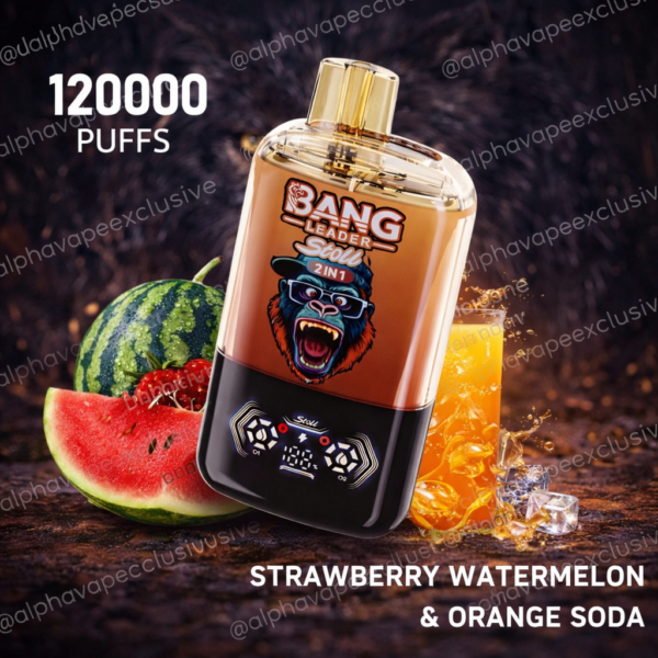 Bang Leader Stoll 120K super pack 5 pezzi vape 120000 puff ricaricabile usb c