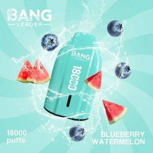 Bang Leader 18000 Puff vape box packaging
