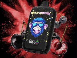 BANGDE 90K vape monouso da 1 a 4 pezzi