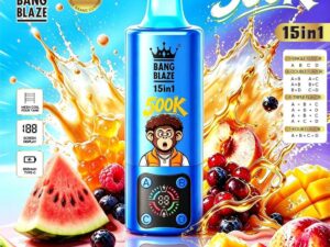 Bang Blaze 15-in-1 500K Ingrosso 500.000 Puff